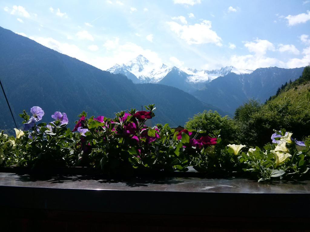 Ferienwohnung Zuppinger Mayrhofen Exterior foto